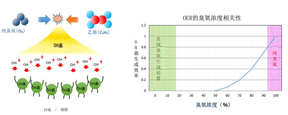 高浓度超纯臭氧发生器(连续供给类型)(图2)